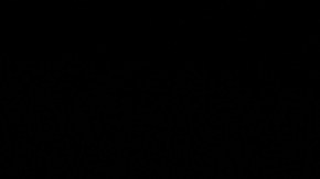 Universal sólo busca darle lo mejor de sus atracciones al público que los visita a diario.