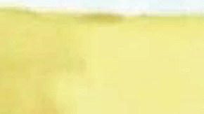 COLOMBIA-FARC-CONFLICT-POLITICS