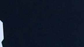 Se revela que la causa oficial de la muerte de Kirstie Alley es cáncer de colon.