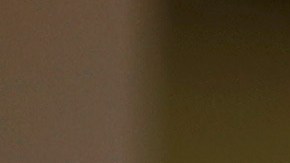 Sylvester Stallone está viviendo actualmente en Florida.