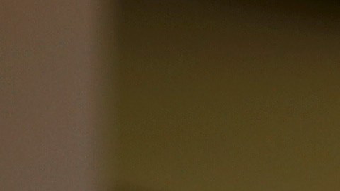 Sylvester Stallone está viviendo actualmente en Florida.