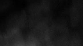 Leonardo DiCaprio fue visto recientemente con una nueva acompañante mientras su supuesta relación con Gigi Hadid creaba revuelo en las redes sociales.