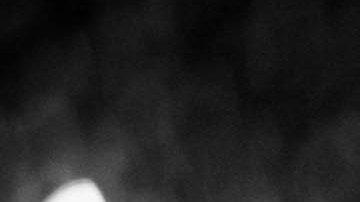 Leonardo DiCaprio fue visto recientemente con una nueva acompañante mientras su supuesta relación con Gigi Hadid creaba revuelo en las redes sociales.