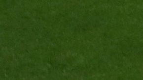 Olympique de Lyon es uno de los equipos más reconocidos de Francia.