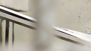 DOMINICAN REP-HEALTH-VIRUS-PRISON