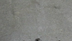 La camiseta de Pelé es expuesta a menudo en cientos de lugares de Brasil.