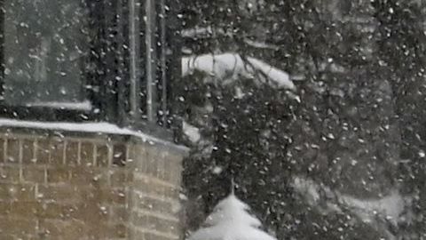 Frío siberiano en EE.UU. durante la Navidad