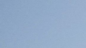 El video se filmó durante una pelea en una de las sucursales.