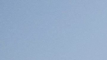 El video se filmó durante una pelea en una de las sucursales.