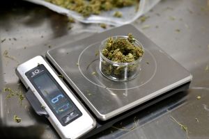 Las ventas legales de marihuana en Nueva York comenzarán la próxima semana