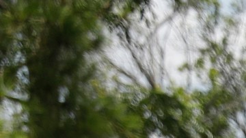 La cámara corporal de un oficial de Tampa captó el rescate.