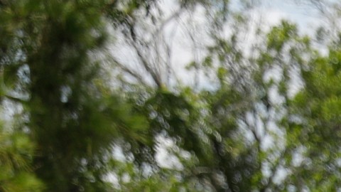 La cámara corporal de un oficial de Tampa captó el rescate.