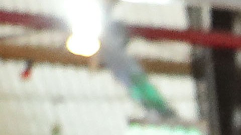 Muchos fanáticos de Argentina disfrutaron el título con los televisores adquiridos en Noblex.