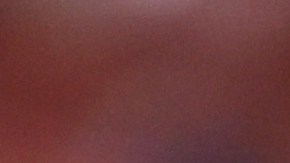 Leagues Cup 2021: Quarterfinals - Pumas v New York City FC