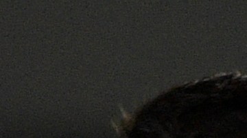 Luis Suárez demostró de nuevo la admiración que siente hacia su amigo Lionel Messi.