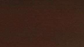 Lionel Messi ya tiene 7 Balones de Oro