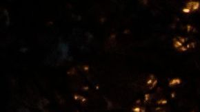 El accidente en la autopista 97C desencadenó una respuesta de "Código naranja".