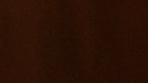 Expresidente ruso Dmitry Medvedev.