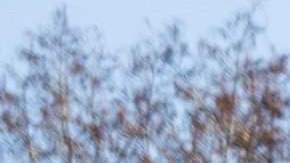 Esta figura representa a Vladimir Putin "comiéndose" el territorio de Ucrania.