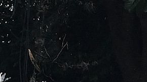 HONDURAS-US-EXTRADITION-BONILLA