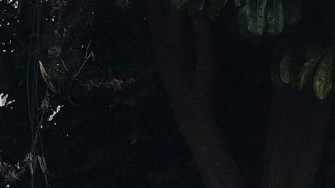 HONDURAS-US-EXTRADITION-BONILLA