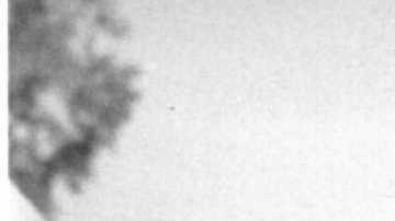 El delantero fue al arco en una semifinal de Copa de Brasil con Santos