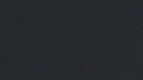 Chicharito Hernández buscará los goles para Porcinos FC.