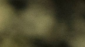 La nueva ley convierte a Missouri en el estado número 21 en permitir el uso recreativo.