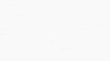 El grupo cruzó ilegalmente por el Río Grande.