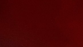 Chivas Unveils Fernando Hierro As New Sporting Director