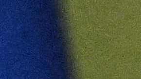 Volodymyr Zelensky Ucrania