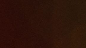 La empresaria Rihanna se robó las miradas de los internautas con el integrante más pequeño de su familia.