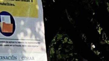 MEXICO-US-MIGRATION-REFUGEE-STATUS