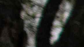 Tiroteos armas de fuego