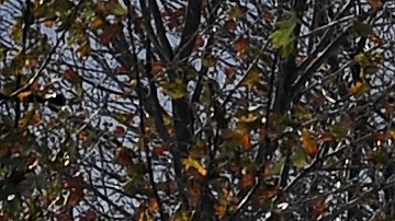 Intense Winter Storm Brings Multiple Feet Of Lake Effect Snow To Buffalo Area