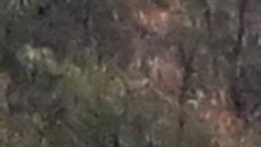 Fuertes lluvias en el sur de Brasil provocaron un deslizamiento de tierra.