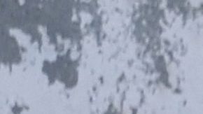 La educación de las mujeres se suspende "hasta nuevo aviso" en Afganistán.