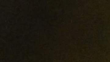 Enner Valencia marcó 3 de los 4 goles con que contó Ecuador en el Mundial Qatar 2022.