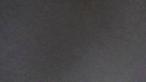 El polaco ya estuvo presente en dos partidos de la Copa Mundial