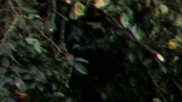 COLOMBIA-ACCIDENT-LANDSLIDE