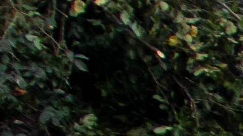 COLOMBIA-ACCIDENT-LANDSLIDE