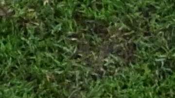 A Japón le detuvieron 3 penales.