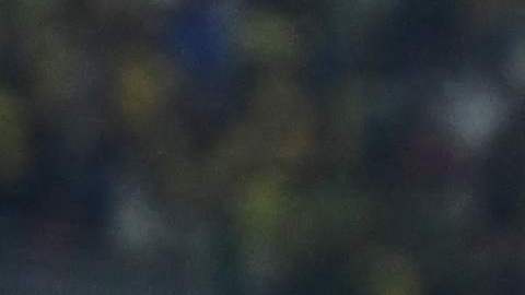Los atacantes brasileños celebraron el segundo gol con un épico baile.