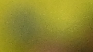 Neymar celebra con fanáticos la goleada de Brasil sobre Corea del Sur.