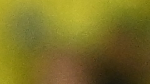 Neymar celebra con fanáticos la goleada de Brasil sobre Corea del Sur.