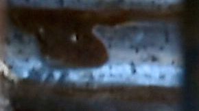 Pandilleros El Salvador militares