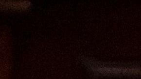 PERU-POLITICS-PRESIDENT-BOLUARTE