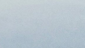 Castigo público paliza talibanes