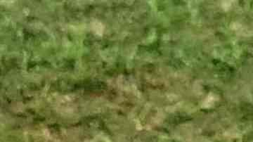 Tite estuvo al mando de Brasil entre 2016 y 2022.