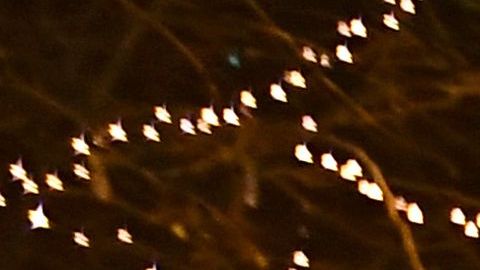 Fanáticos celebran la victoria ante Brasil en Qatar 2022, desde una plaza en Zagreb.